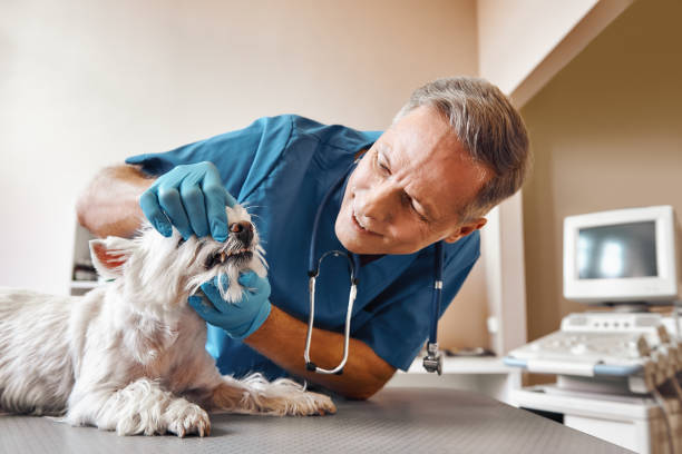 Best Emergency Dentist for Special Needs Patients in Gainesboro, TN